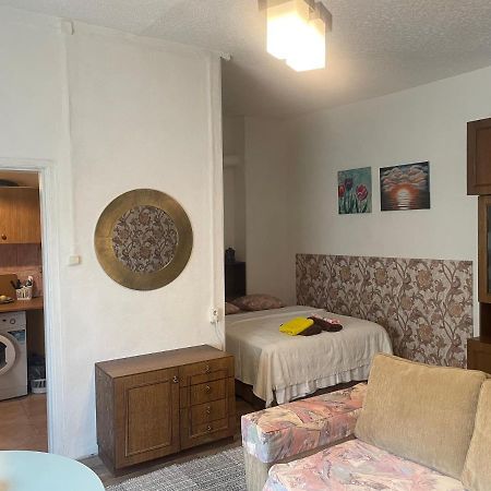 Frendlen Metsa Apartment Pärnu Extérieur photo