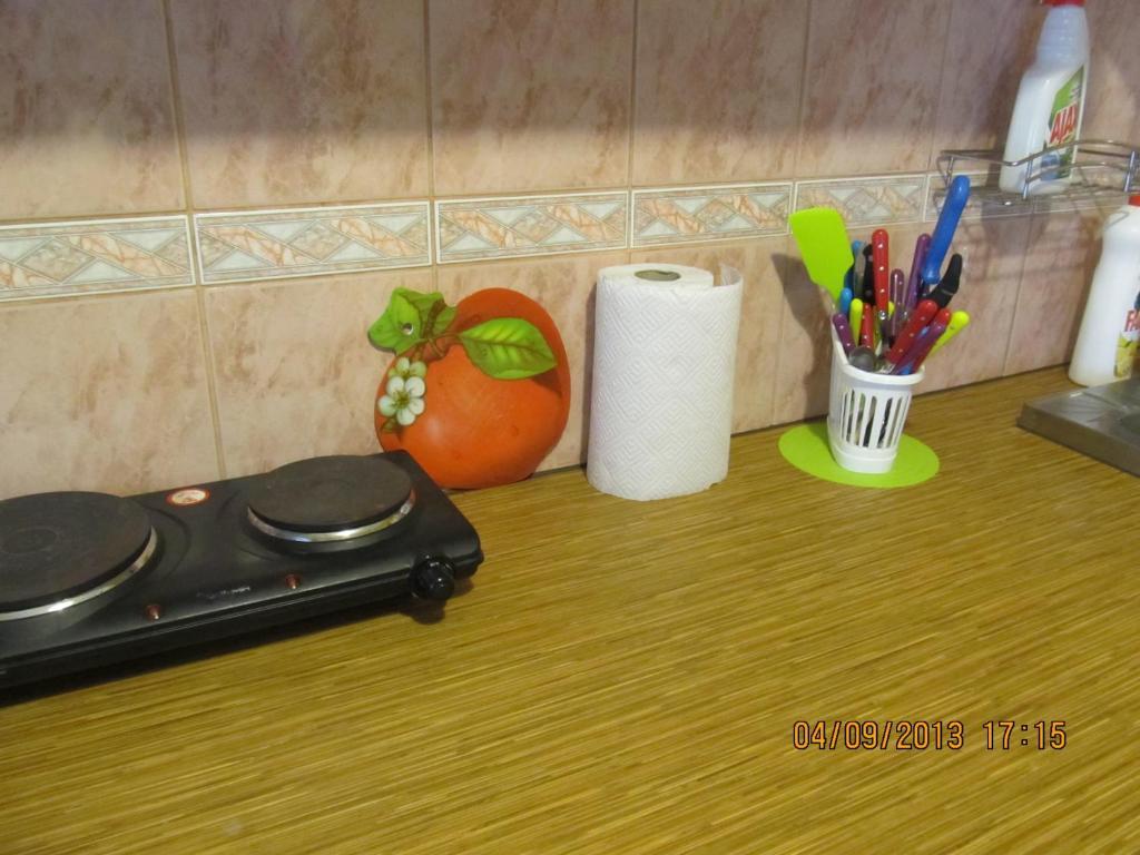 Frendlen Metsa Apartment Pärnu Extérieur photo